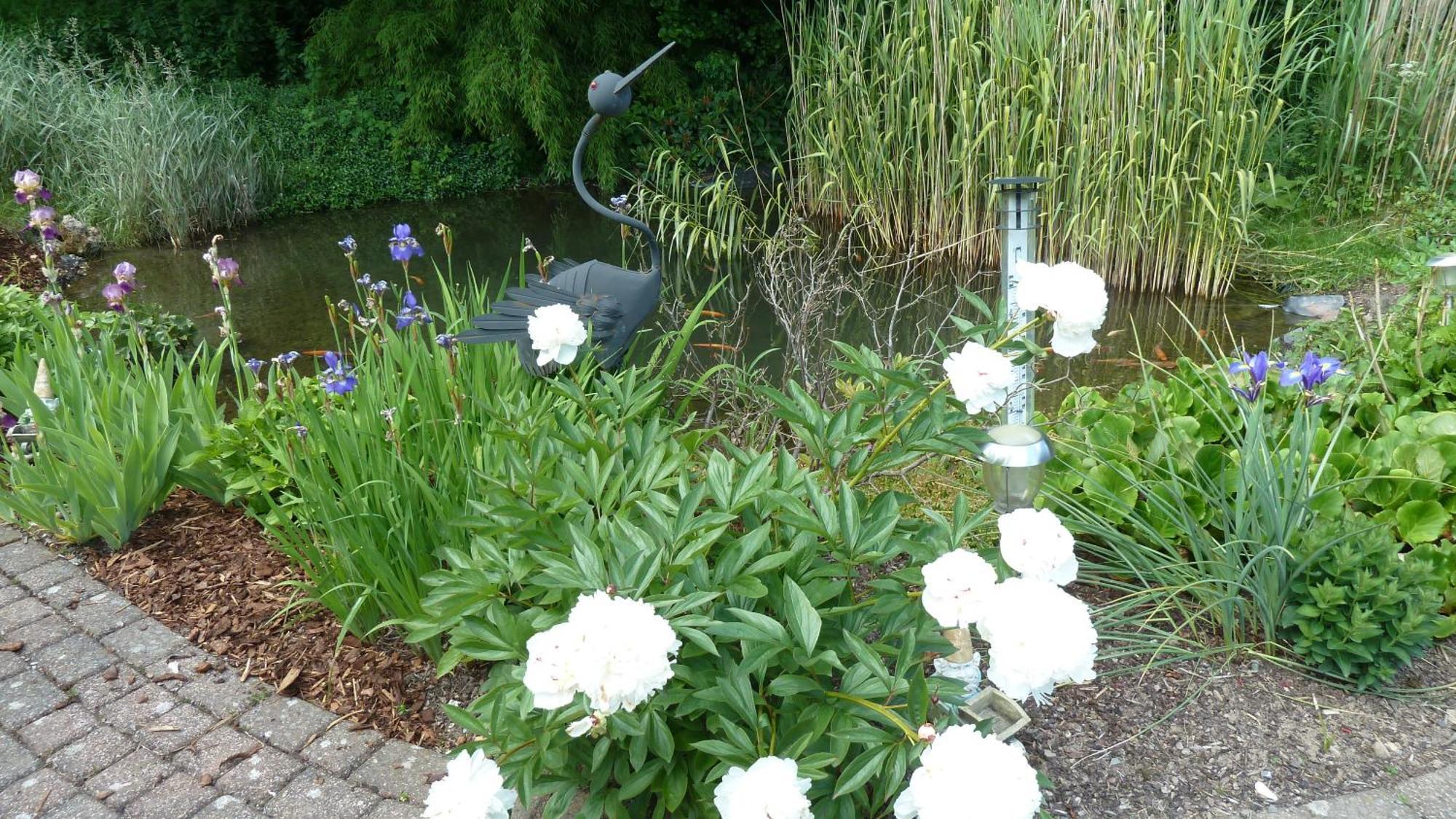 Am Sonnenhang Willingen (Upland)